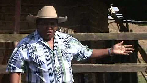 mi formacion de llanero letra y musica de ali sali...