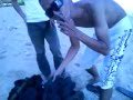 Hantu Penunggu Pulau