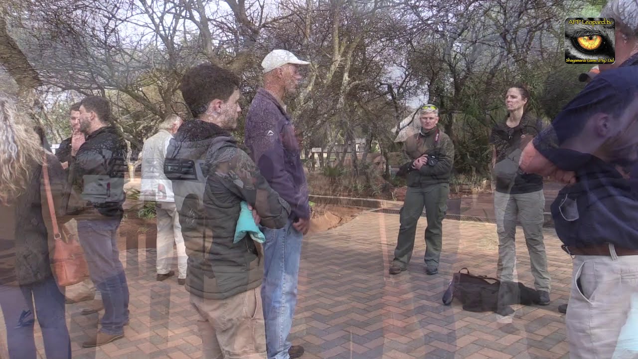 Dr Peter Caldwell explains the darting & collaring process for leopards ...