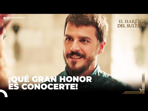 El León De Los Mares Está Ante Mí