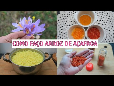 Vídeo: Alsobia (22 Fotos): Atendimento Domiciliar. Peculiaridades Das Espécies Alsobia Rosea E Cravo-da-índia, San Miguel E Episódio