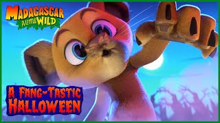 Scary Fun Fright Fest | MADAGASCAR A LITTLE WILD