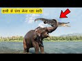 ये होता है जब हाथी से पंगा ले लेते है दुसरे जानवर.. 10 Times Animals Messed with The Wrong Elephant.