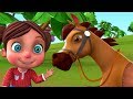 Chal Mere Ghode Chal Tik Tik | चल मेरे घोड़े | Hindi Kids Rhymes | Little Treehouse India