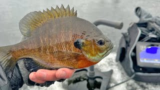 First Ice Bluegills On SECRET Hidden Lake!! by Todays Angler 5,359 views 4 months ago 19 minutes