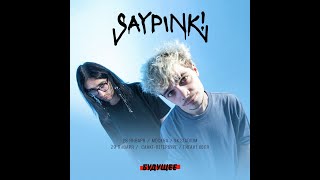 Saypink! | Фестиваль Будущее | 28 января | Москва | VK STADIUM