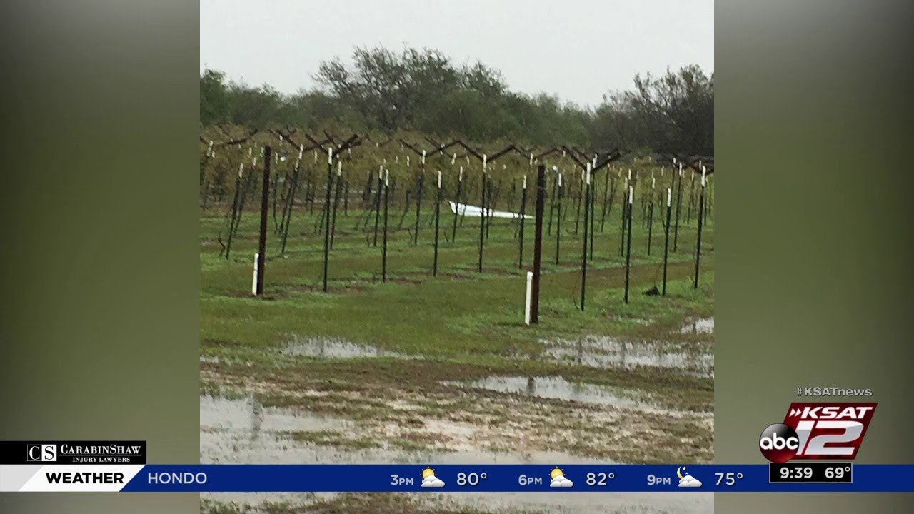 Faith, determination keeps Texas winery going after Hurricane Harvey