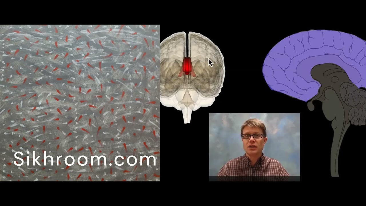 Art Sikh Grey Matter in our time Modern 4th Dimension video 3b