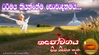 කුවේට් වල සිටින එතුමියත් ධර්මය දකියි ලෝකයේ කොහේ සිටියත් පිරිසිදු සද්ධර්මය ඇසේනම්. #Thapowanaya 🙏🙏🙏