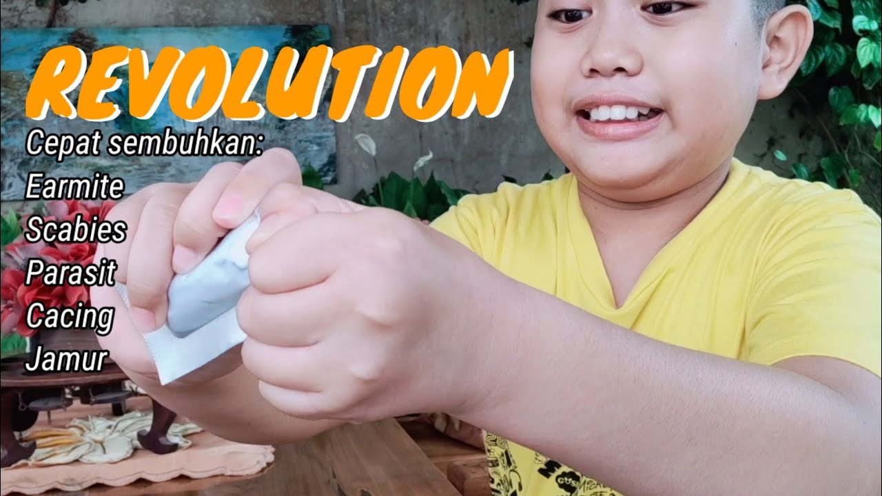 Cara Mengobati Kutu Bulu/Parasit pada kucing dengan Revolution