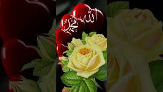 Nabipakﷺ ♥️ #islamicvideo#youtubeshorts#viralshorts#trendingshorts#grow#unfrezzmyaccount