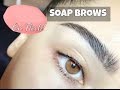 PERFECT SOAP BROW TUTORIAL | EASY + AFFORDABLE | Sahony Bourdier