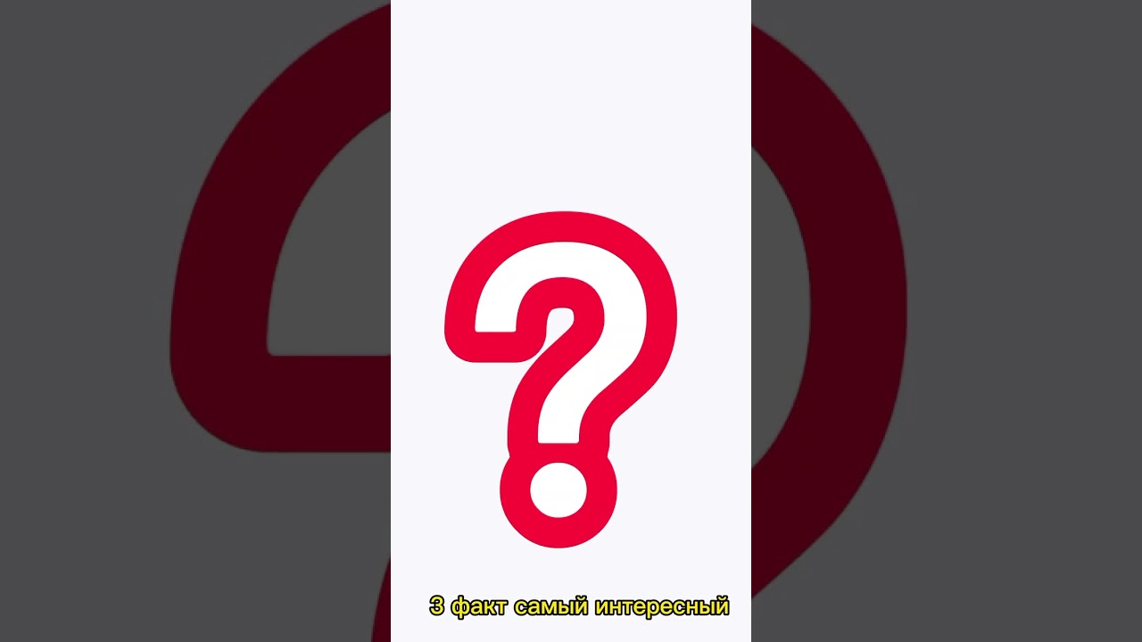 Интересные факты о Палестине