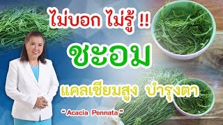 ไม่บอกไม่รู้ !! ชะอม แคลเซียมสูง บำรุงสายตา ห้ามพลาด | Acacia Pennata | พี่ปลา Healthy Fish