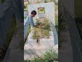 Maa to maa hi hoti hai😭😭🥹 #ali_vlogs #foryou #viralvideo #viral #maa #maasadstory