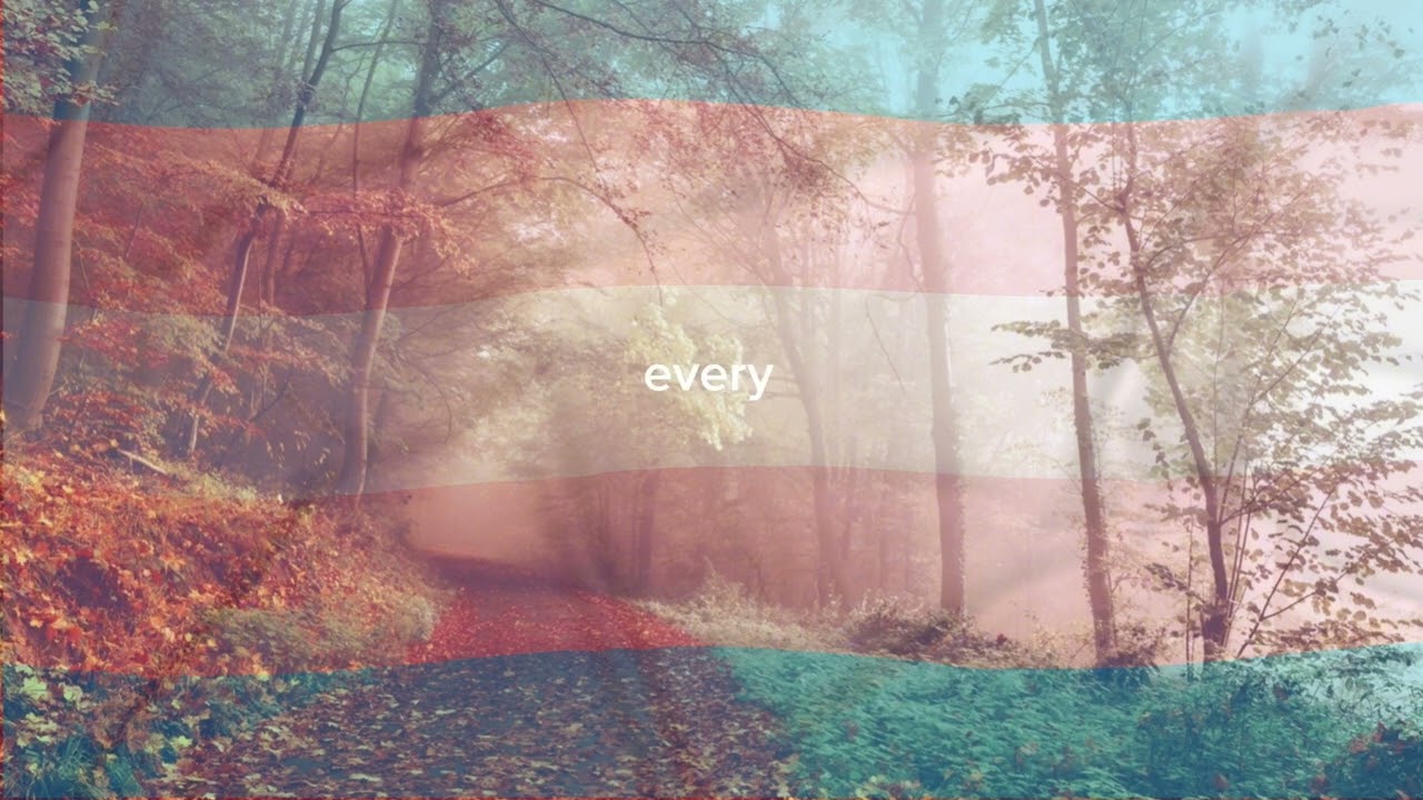 YellowBunny - An Autumn Love Story (Lyric Video)