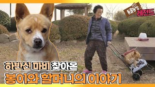 [TV 동물농장 레전드] ’봉이에게 예고 없이 찾아온 시련’ 풀버전 다시보기 I TV동물농장 (Animal Farm) | SBS Story