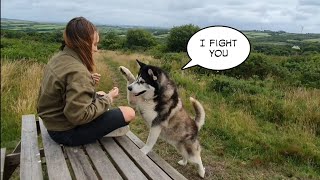 Dog and Daughters Hilarious Love Hate relationship continues