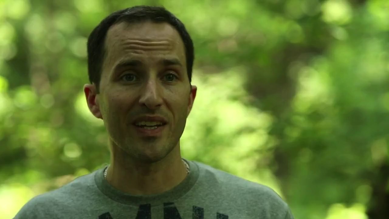 JSTOR Global Plants Gotham Coyote Project YouTube