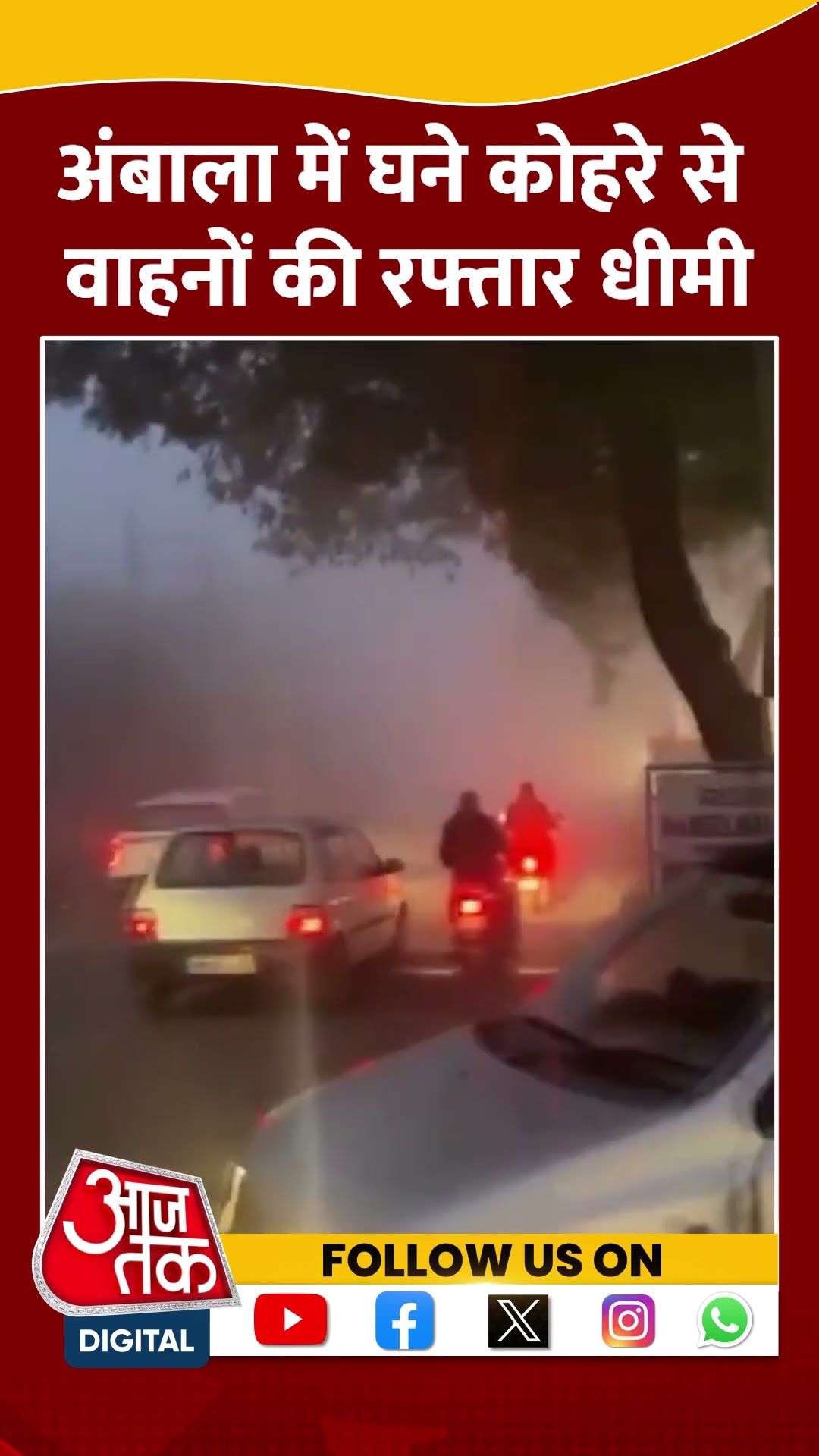 Ambala में घने कोहरे से वाहनों की रफ्तार धीमी #shorts #viral #shortvideo #ambala #fog