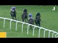 FIVE BREATHTAKING TINGLE CREEK VICTORIES