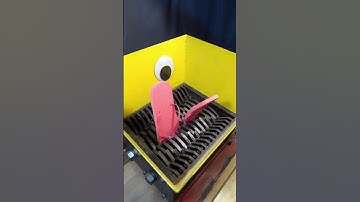 #shreddermachine   #shredder   #oddlysatisfying  #shorts  #shortsfeed  #ytshorts
