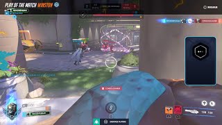 Angry monkey ends entire team