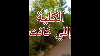 #تهاني #النجاح #نتيجة #الثانوية_العامة #لاتنسوا_الاشتراك_في_القناة_وتفعيل_الجرس