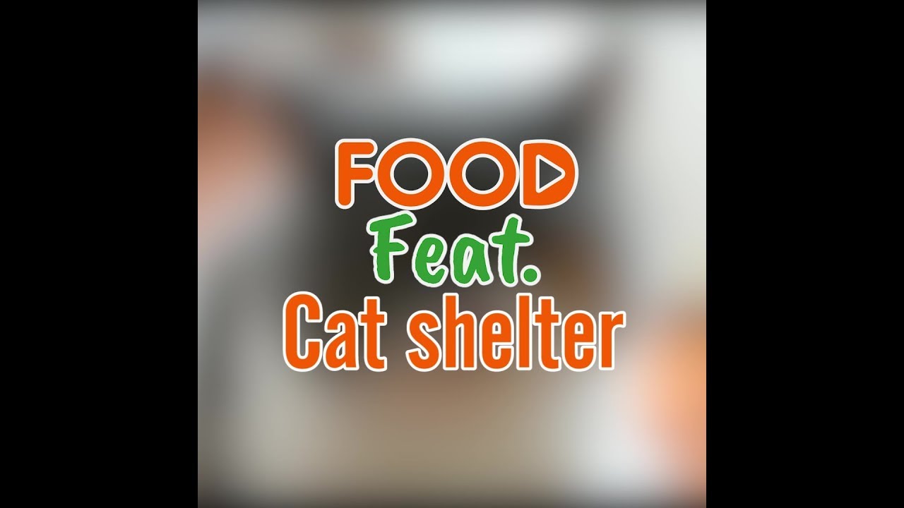Catster มากกว่าคาเฟ่คือการเป็น "ที่พักพิง" | Food Featuring
