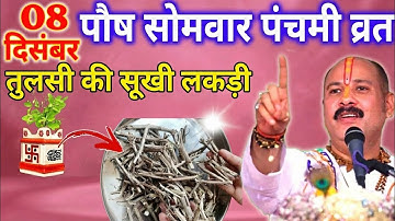 08 दिसंबर सोमवार पंचमी व्रत के दिन तुलसी की सुखी लकड़ी वाला उपाय जरुर करे || Pradeep Ji Mishra 