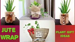 Plant pot gift wrap3/Plant pot jute wrap/How to gift wrap plants/DIY burlap planter/Craft/Gift wrap