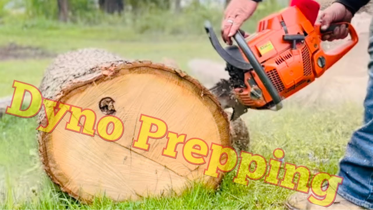 Getting Ready For A Dyno Run! Ported Husqvarna 385 Chainsaw! - YouTube