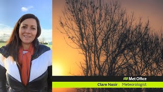 Thursday afternoon forecast 31/12/20 Wealth