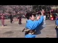 早稲田さくらまつり 五木ひろしのさくら音頭