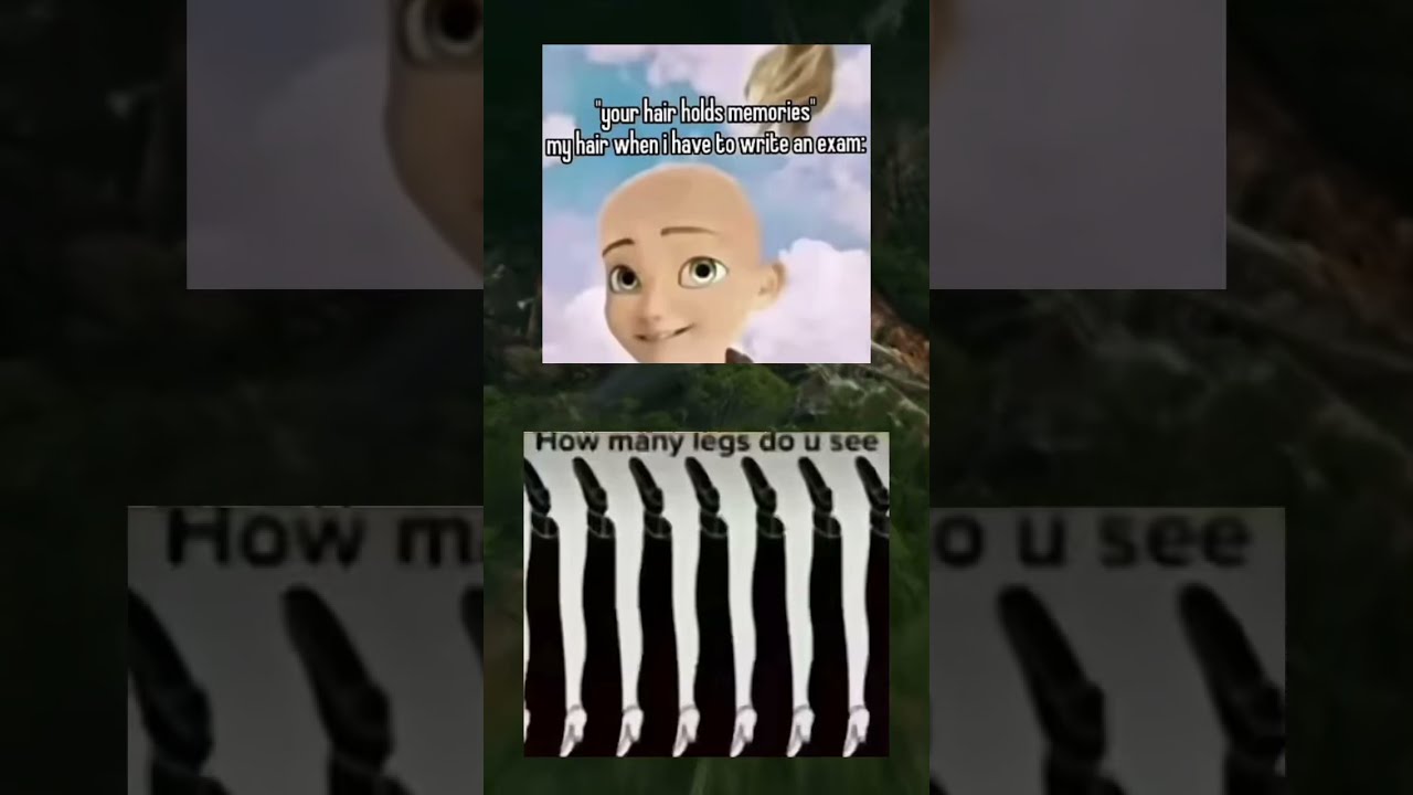 4a Memesdaily Memes Zyxabc Funnyimages
