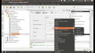 Famous Enviar datos de un Formulario a otro Java Netbeans Profile