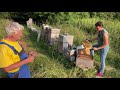 Live von Pias Bienenstand 19.7.21 - Schönwetterausgabe :-)