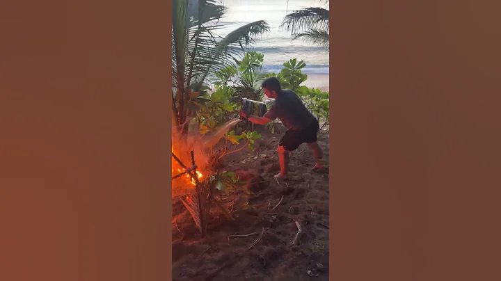 Epic #easter #egg roll! #kidsfun