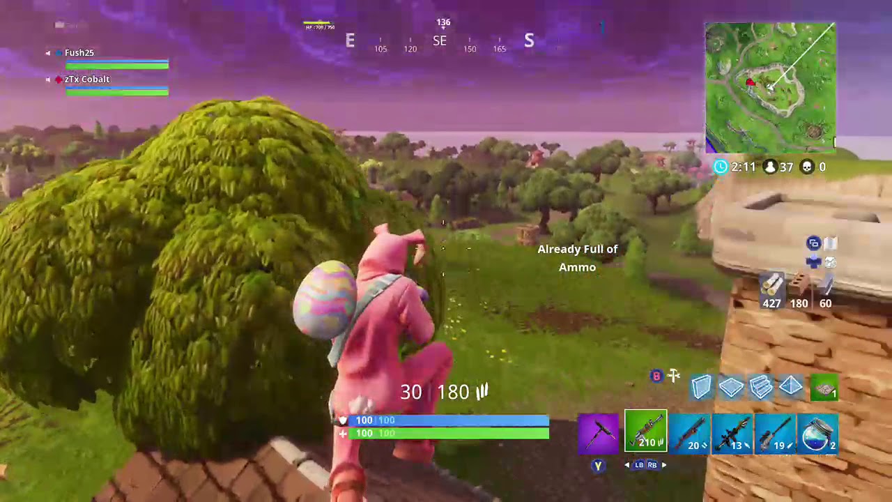 11 kill duo with my boy Cobalt