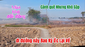 Het huidige landschap van de gemeente Thuan Thanh, Can Giuoc en Long An | Als je dit tafereel opn...