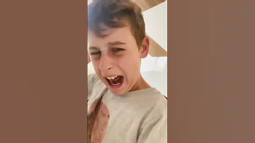 בולבול 