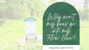 Why Won’t My Bees Go Into My Flow Hive? How to Coat Your Flow Hive Frames with Beeswax