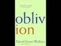 David Foster Wallace reads from The Soul Is Not a Smithy