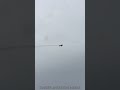 David Windmiller Part #1 #leesburg #leesburgva #airshow #airplane #aviation #viral #trends #shorts