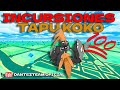 Tapu koko esta de regresoincursiones con subsintercambiosven y unete a nuestro directo a por todo