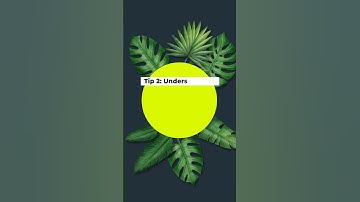 5 Tips to Master HTML