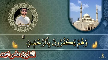 ماتيسر من سورة الرعد _ القارئ عامر احمد