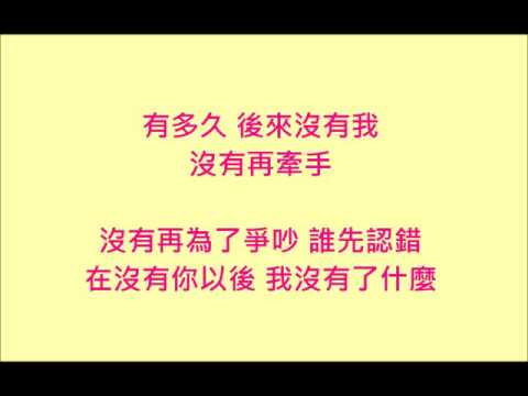 謝和弦 Feat. 張智成 在沒有你以後【歌詞版】