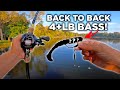 This RIG is a GIANT Fall BASS Magnet!