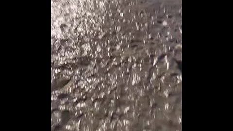 什么游戏才开启预约？24小时就突破200万预约？原来是rust正版授权手游《失控进化》！#失控进化#rust